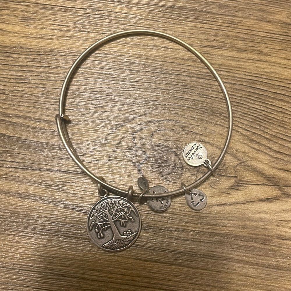 Alex and Ani Tree of Life 2013 bangle